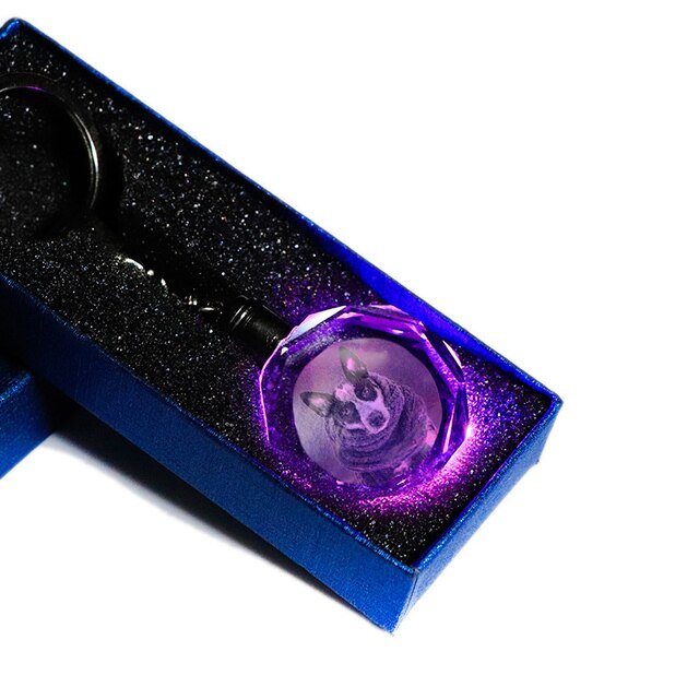 Custom K9 Crystal LED Keychain